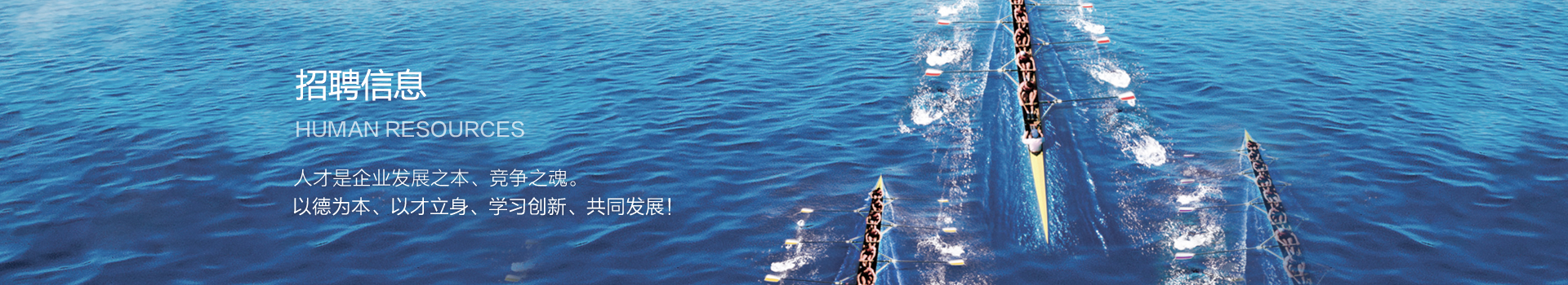招聘信息